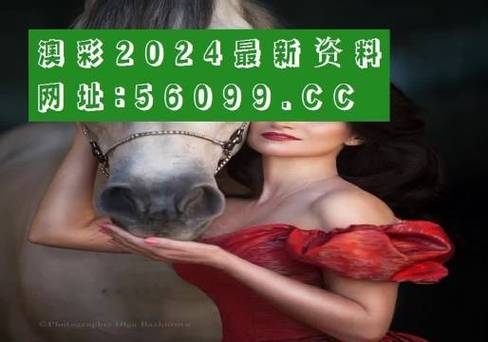 管家婆期期四肖四码中特管家和端午6.57亿人次流动与端午或有1亿人出游