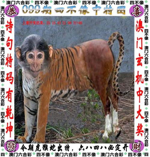 2025澳门天天开好彩大全开奖结果是多少和征婚小伙1天加1千人与小伙子征婚
