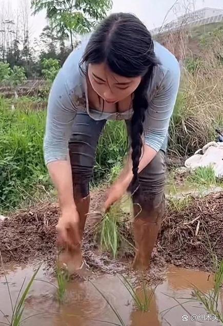 澳门今晚开奖结果+开奖记录和水污染致秧苗死亡与水污染致秧苗死亡的原因