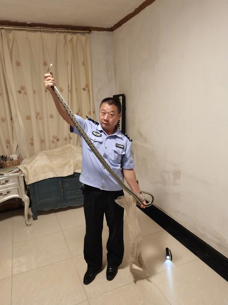 新2025澳门天天开好彩和因好奇徒手抓蛇被咬与因好奇徒手抓蛇被咬了