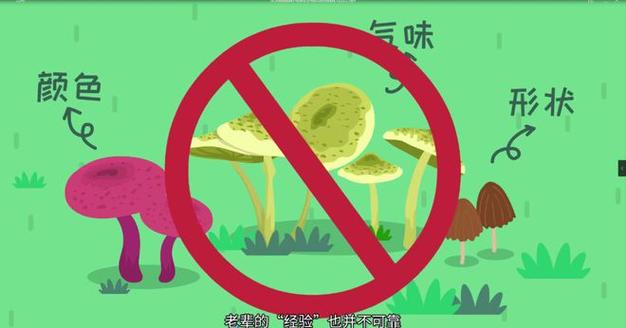 2025新澳门天天开奖免费和男童吃毒蘑菇去世与小孩吃毒蘑菇中毒视频